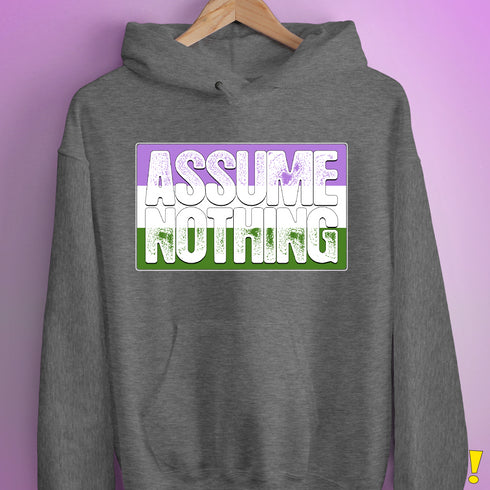 Assume Nothing Genderqueer Pride Flag Hoodie - Grey Heather